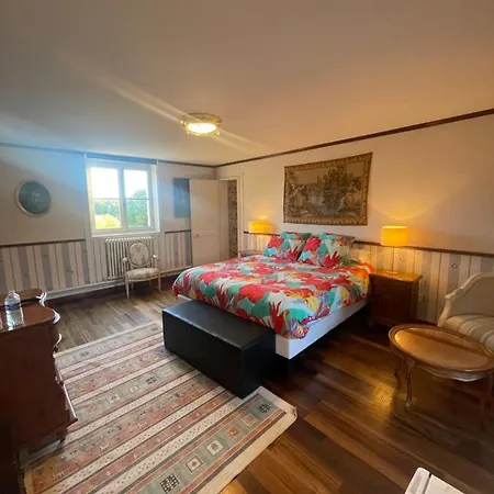 Hotel Chateau Du Boulay Morin 4*