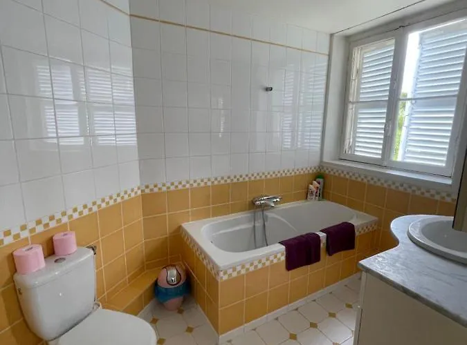 Hotel Chateau Du Boulay Morin 4*